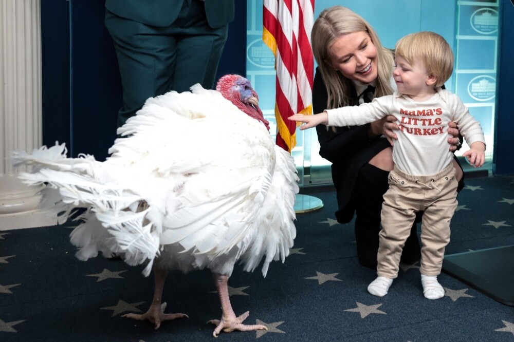 США задержали родственницу пресс-секретаря Белого дома