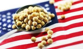 Grain Futures Rise in U.S. Amid Shutdown Hopes