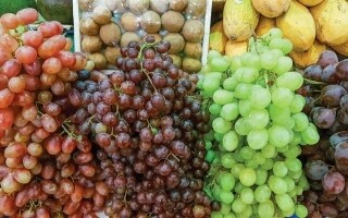 Study Links Diet to Tinnitus Risk