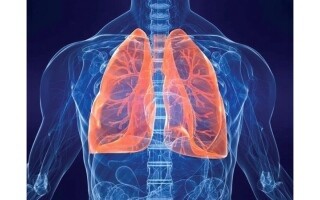 Scientists Develop Personalized Lung Model for Disease Treatment