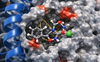 Hilal Ventures invierte 55 millones de dólares en la startup de biotecnología Think BioScience