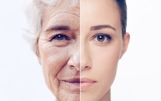 6 Daily Habits to Slow Aging According to a Neurologist