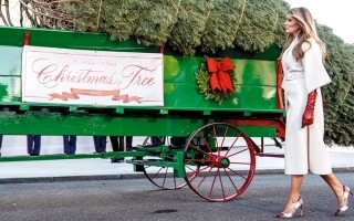 Melania Trump Welcomes White House Christmas Tree