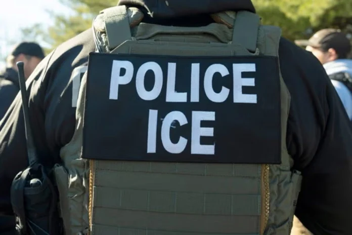 Two Immigration Agents Suspended in Minneapolis