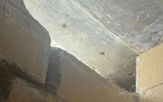 Brazen Jailbreak in Louisiana