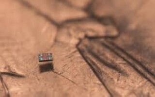 科学家创造小于一毫米的机器人