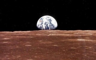 Scientists Grow Chickpeas on Lunar Soil for First Time in History