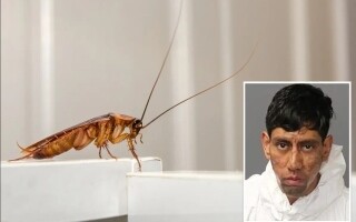 New Mexico man kills two on orders from a cockroach