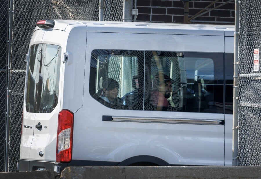 Operation 'Charlotte's Web': 81 Migrants Detained in U.S.