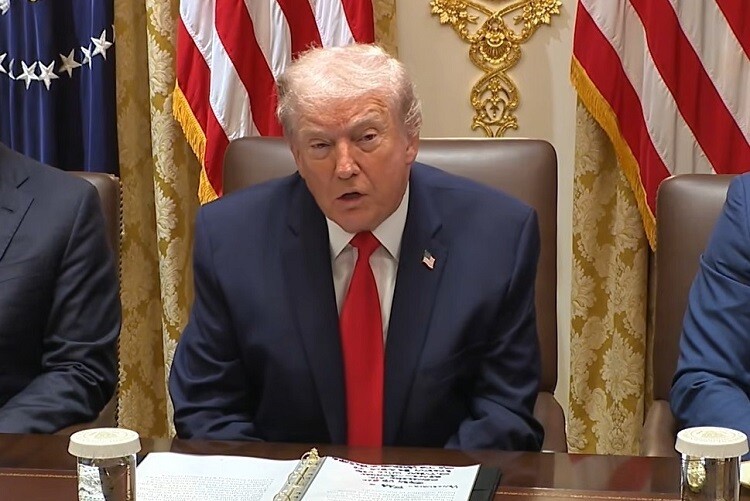 Homan Announces End of 'Metro Surge' Operation in Minnesota