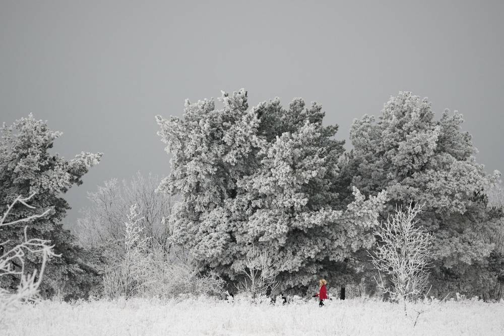 Winter Storms Disrupt Transport in USA, Japan, Canada