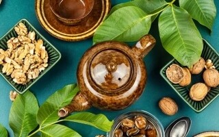 Green Tea and Walnut Diet Slows Brain Aging