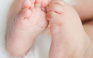 飞往纽约航班上诞生婴儿