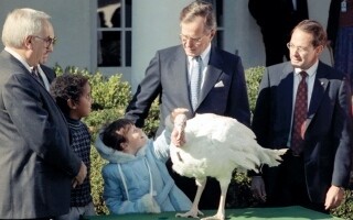 История традиционного помиления индейки в США