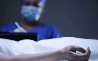 Rare Rabies Death Linked to Kidney Transplant in US