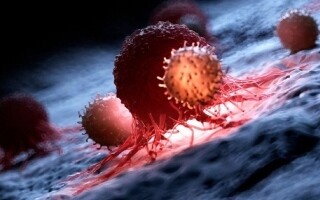 New Insights into Cancer Cell Migration and Metastasis