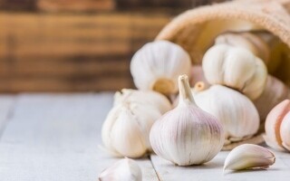 Study: Aged Garlic Extract Improves Memory