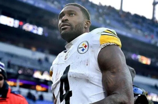 Steelers' DK Metcalf Slaps Fan During Game