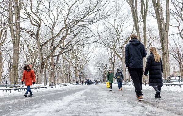 New York wakes up to the season's first snowfall