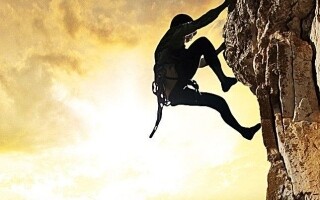 Mountain climber in Phoenix airlifted to hospital after bee attack