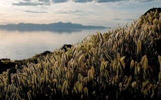 美国请求10亿美元用于修复大盐湖