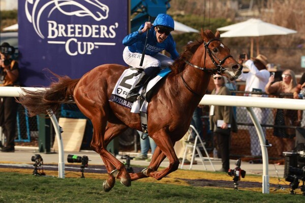 Formula 1: US Grand Prix