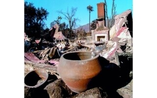 The Impact of Wildfires on Altadena Families