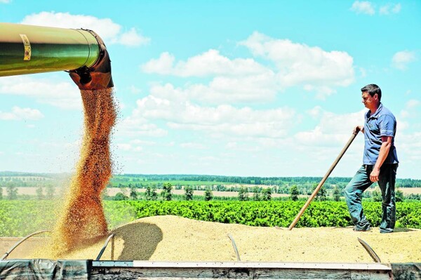 Соевые фьючерсы упали после встречи Трампа и Си Цзиньпина