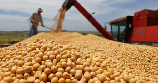 Soybean price exceeds $400 per ton