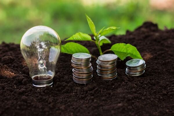 World Energy Saving Day: Tips to Reduce Consumption