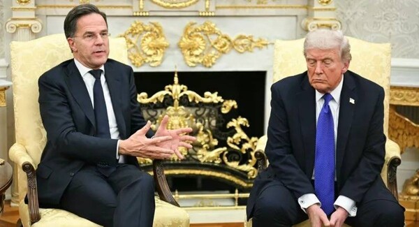 北约秘书长将在华盛顿与特朗普会面