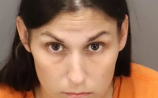 Florida Woman Admits to AI-Generated False Police Report