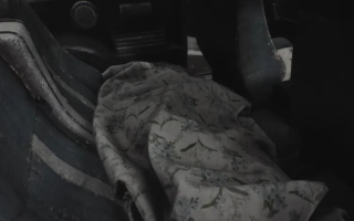 Man's Body Found in Towed Car in USA