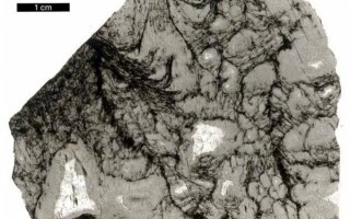 Scientists Discover Oldest Traces of Life on Earth Using AI