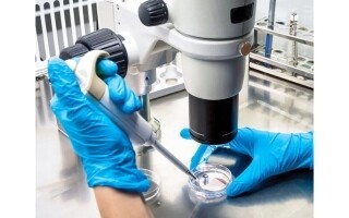 Europe and Canada Attract U.S. Scientists Amid Trump Policies